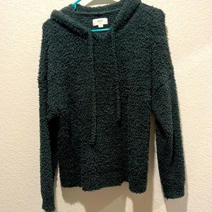 Aerie Marshmellow “All Love” Teddy Hoodie